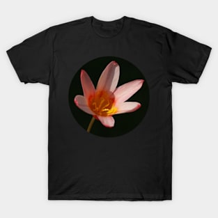 tulip in soft pink T-Shirt